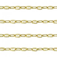 DQ Metalen jasseron ankerketting 4x2mm Goud